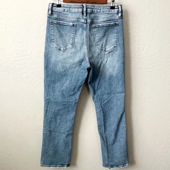 Vigoss Crosby Straight Jeans - Picture 8 of 15